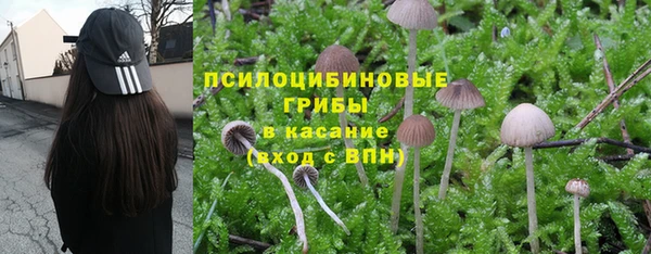 ECSTASY Аркадак