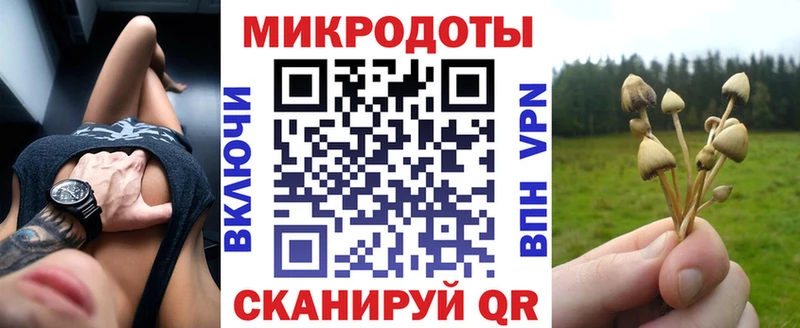 Псилоцибиновые грибы Psilocybine cubensis  Унеча 